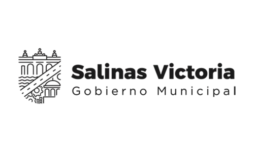 Grupo Salinas